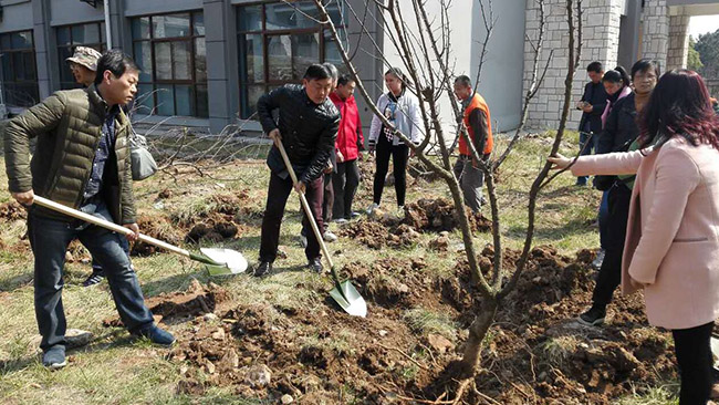 市第一人民医院积极参与残疾人托养中心“爱心果树”认养活动