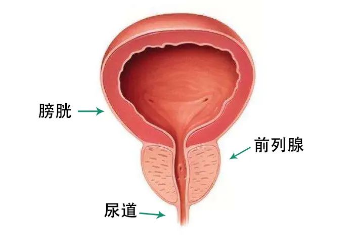 微信图片_20220707160932.jpg