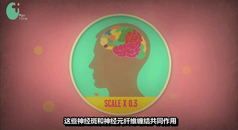 微信图片_20220708110436.gif