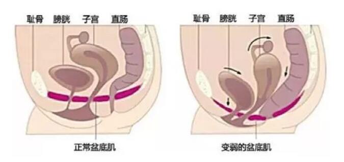 QQ截图20220708111201.jpg
