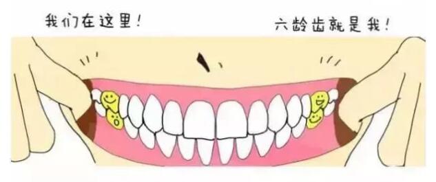 乳牙不用管，反正要换掉？错了！