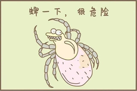 QQ截图20250208110348.jpg