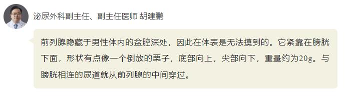 QQ截图20250208111225.jpg