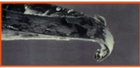 640 (14).png
